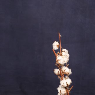 Leren fotoachtergrond L | Nacht blauw