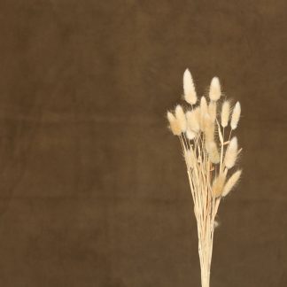 Leren fotoachtergrond M | Golden Earth