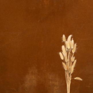 Leren fotoachtergrond L | kaneel
