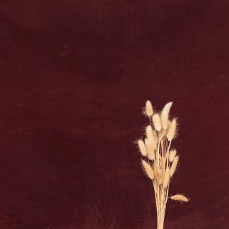 Leren fotoachtergrond L | merlot