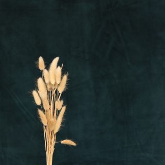 Leren fotoachtergrond S | elegance spruce