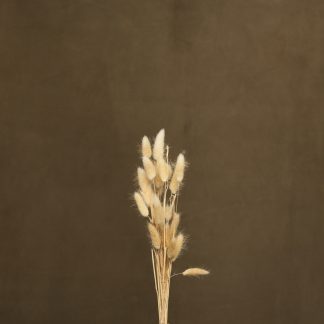 Leren fotoachtergrond L | Dark Almond