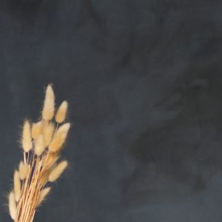 Leren fotoachtergrond L | Dirty Blue