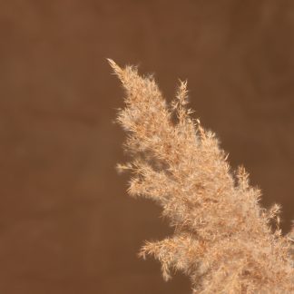 Leren fotoachtergrond M | Truffel bruin