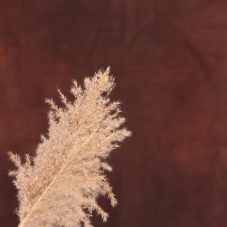 Leren fotoachtergrond L | Buffalo Brown