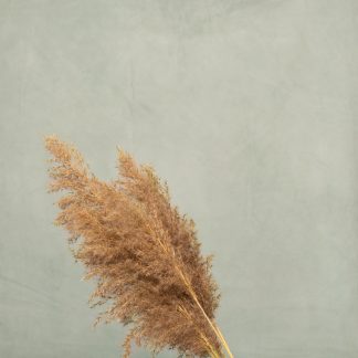 Leren fotoachtergrond L | mint